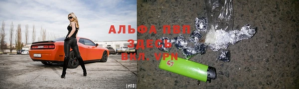 твердый Арсеньев