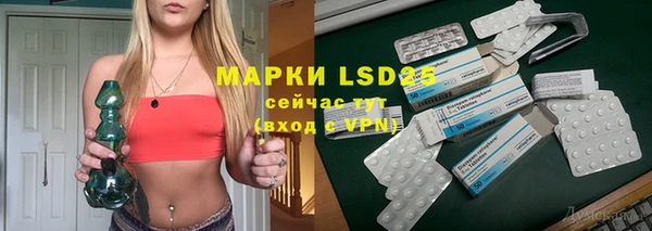 твердый Арсеньев