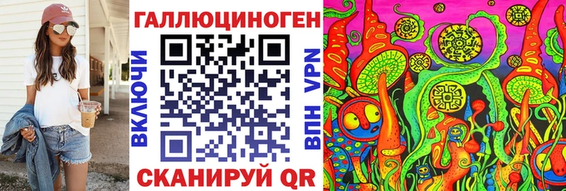 Псилоцибиновые грибы Psilocybine cubensis  kraken   Баксан 