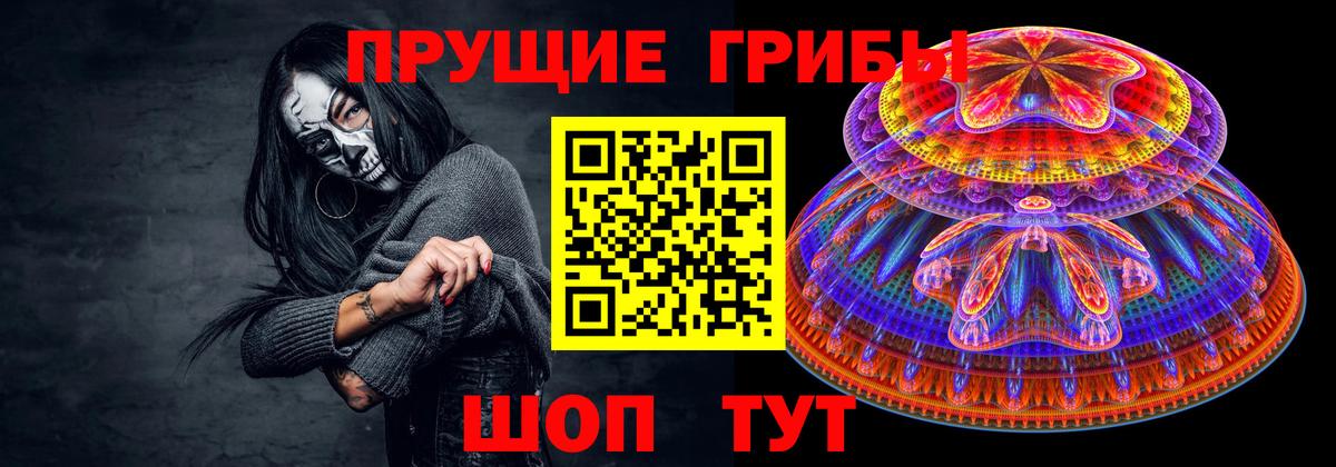 Баксан  Галлюциногенные грибы прущие грибы  Псилоцибиновые грибы мухоморы  Вход с VPN 
