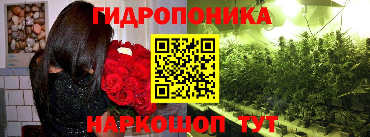 Баксан  Каннабис SATIVA & INDICA  Канабис конопля  Вход с VPN  Шишки марихуана гибрид 
